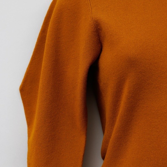 NWT ALC Spice Brown Wide Sleeve Turtleneck - Picture 10 of 10